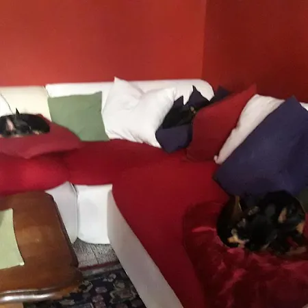 La Casa Di Ale E I Suoi Piccoli Amici In Zona Separata Della Casa *