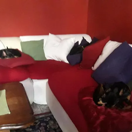 La Casa Di Ale E I Suoi Piccoli Amici In Zona Separata Della Casa *